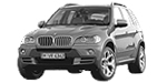 BMW E70 P250C Fault Code